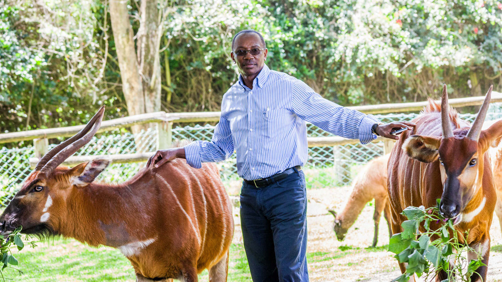 Humphrey Kariuki
